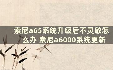 索尼a65系统升级后不灵敏怎么办 索尼a6000系统更新